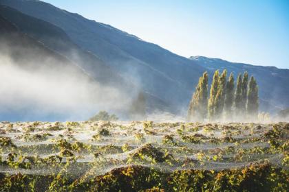 Gibbston Valley Lodge and Spa - image 16