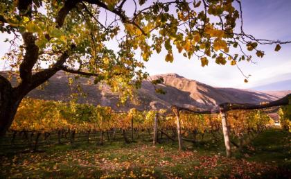 Gibbston Valley Lodge and Spa - image 17